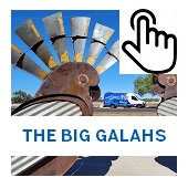 The Big Galahs Button
