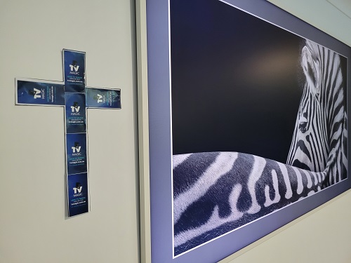 Samsung Frame TV with a TV Magic cross