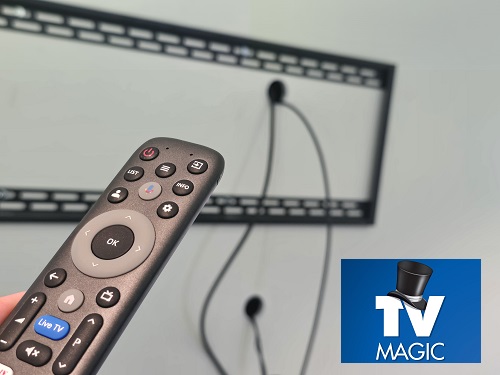 A wall bracket on a customers  wall with remote in front.