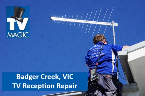 Badger Creek VIC TV Reception Repair