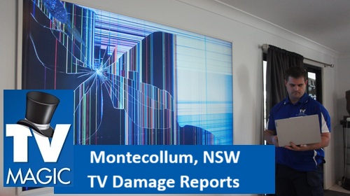 Montecollum NSW TV Damage Reports
