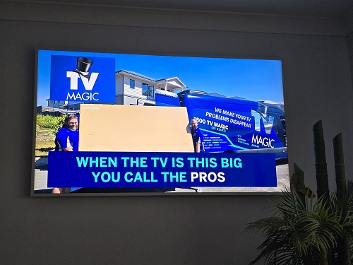 When The TV Is This Big You Call The Pros