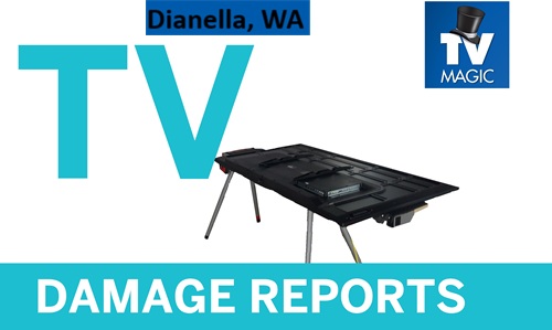 Dianella WA TV Damage Reports