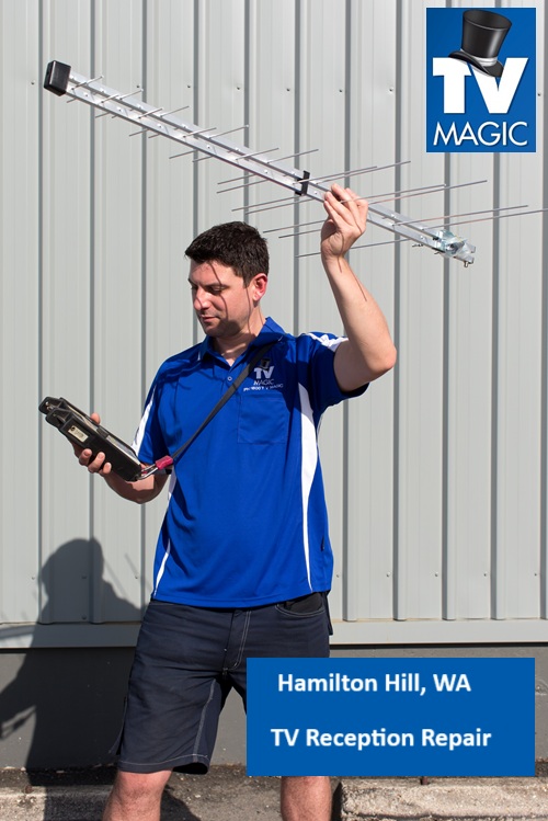Hamilton Hill WA TV Reception repair