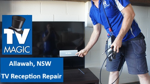 Allawah NSW TV Reception repair