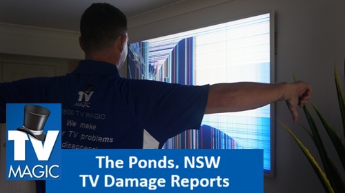 The Ponds NSW TV Damage Reports