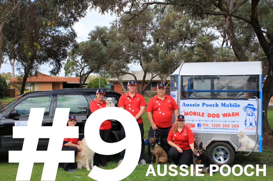 AUSSIE POOCH FRANCHISE