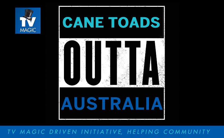 Culling Cane Toads3SMALL