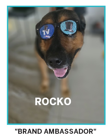 ROCKO BRAND AMBASSADOR